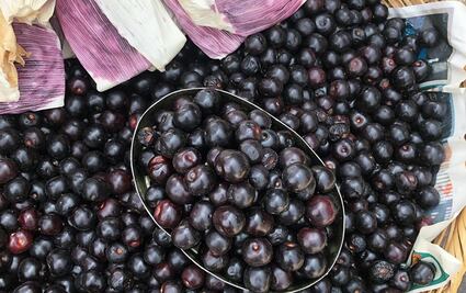 Por estas razones debes de comer más capulines