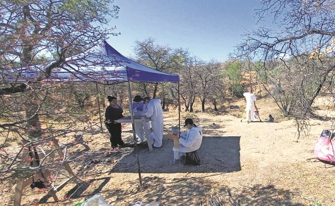 La menor fue rescatada de una casa de madera en el área de un cerro de difícil acceso vehicular, en Ciudad Valle de las Palmas. 