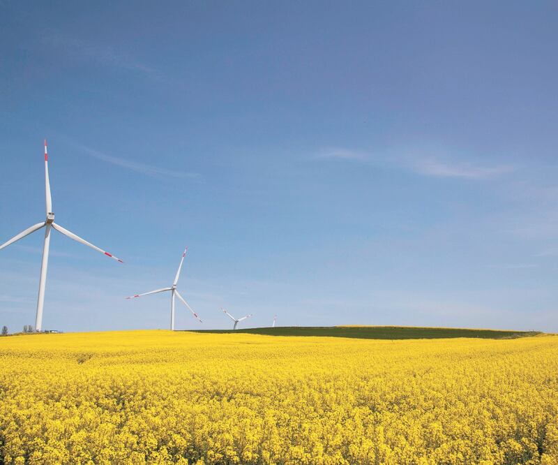 En 2018, la generación de energías renovables en el país representó 24% del total, mientras que la meta para 2024 es llegar a 35%. Foto/ARCHIVO EL UNIVERSAL