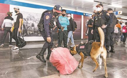 Metro combate distribución de drogas con perros