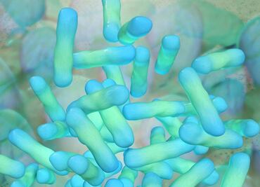 SSa localiza bacteria Klebsiella oxytoca en tres hospitales públicos y uno privado de Edomex; hay 13 menores muertos