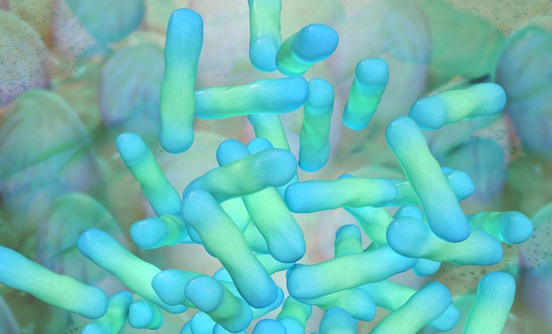 Klebsiella oxytoca. Foto: Especial