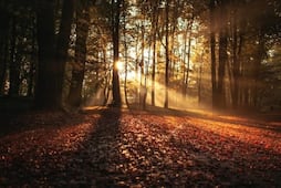 ¿Cuándo entra el otoño en México?; conoce la fecha y hora exacta del equinoccio