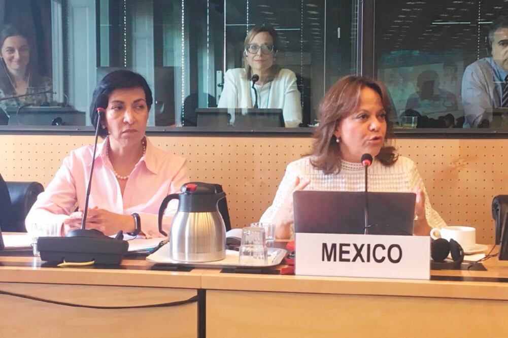 Ante el Comité contra la Tortura de la ONU, la subsecretaria Martha Delgado (der.) recordó que el gobierno mexicano firmó un acuerdo con la alta comisionada Michelle Bachelet para tener asesoría en formación de la Guardia Nacional. Foto: TOMADA DE TWITTER