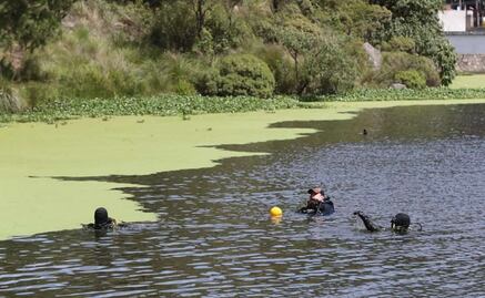 Buzos, perros rastreadores y drones buscan a Manuel Alberto, desaparecido en la Marquesa
