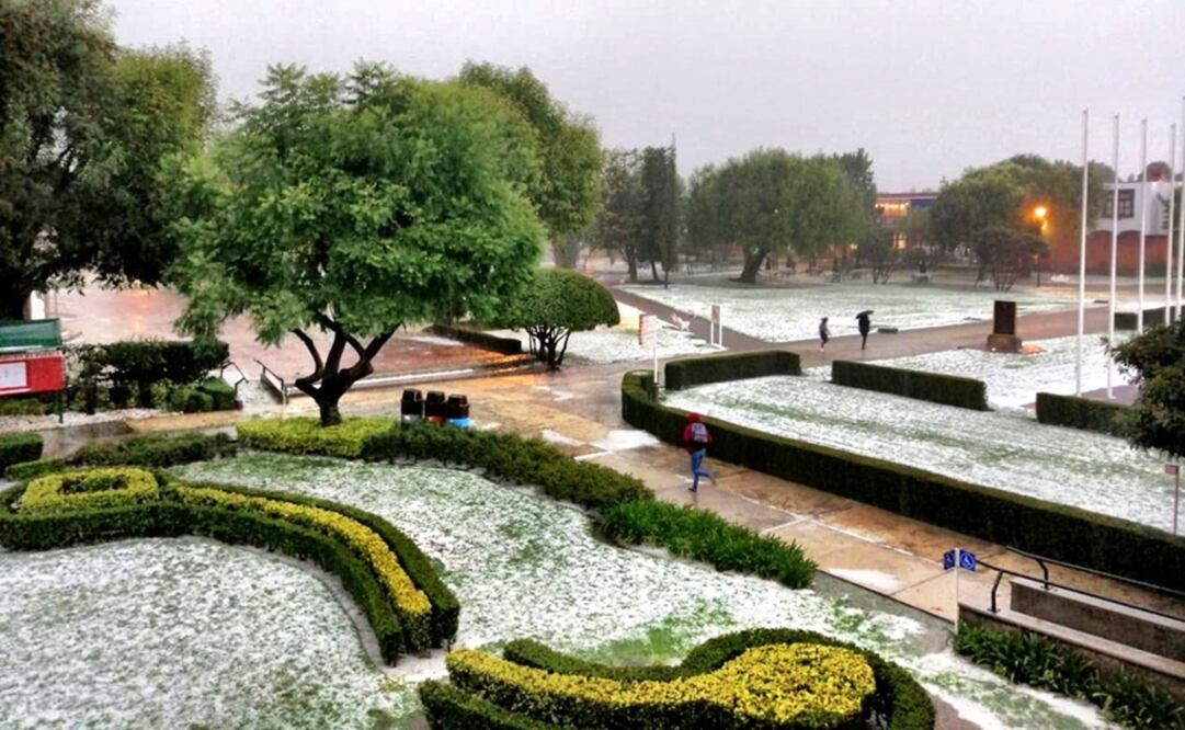 Foto: Twitter @udlap