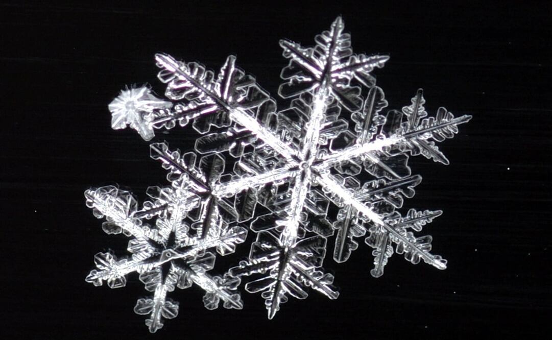 Foto: Peninsula Clarion, M. Scott Moon/AP