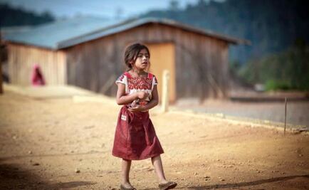 Poppies flourish along with poverty in Guerrero highlands