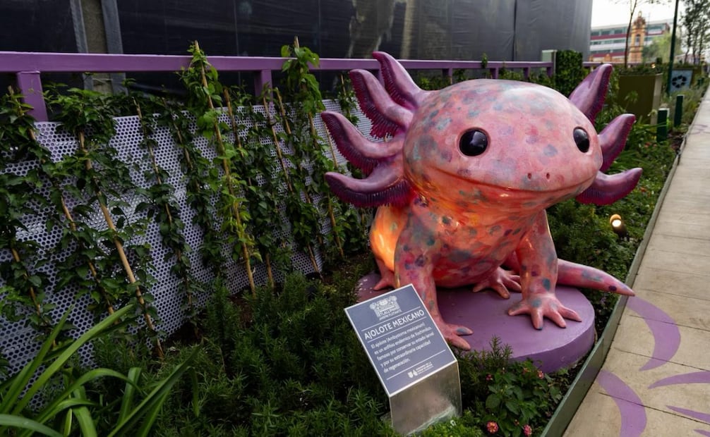 Jardín Flotante “Tlallipan”, ubicado sobre la Calzada de Tlalpan, inaugurado esta mañana del domingo 07 de junio.
Foto: Hugo Salvador / El Universal