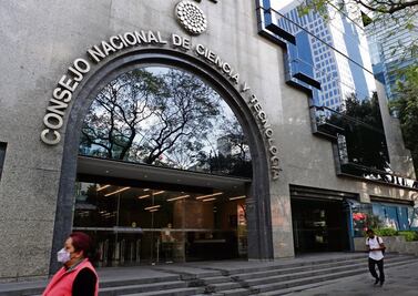 Conacyt dará becas para investigación en herbolaria