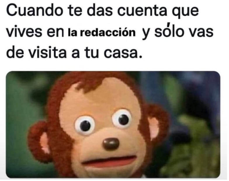 Memes periodismo. Foto: Captura de pantalla