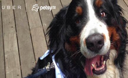 Uber llevó perros para impulsar la adopción en el DF