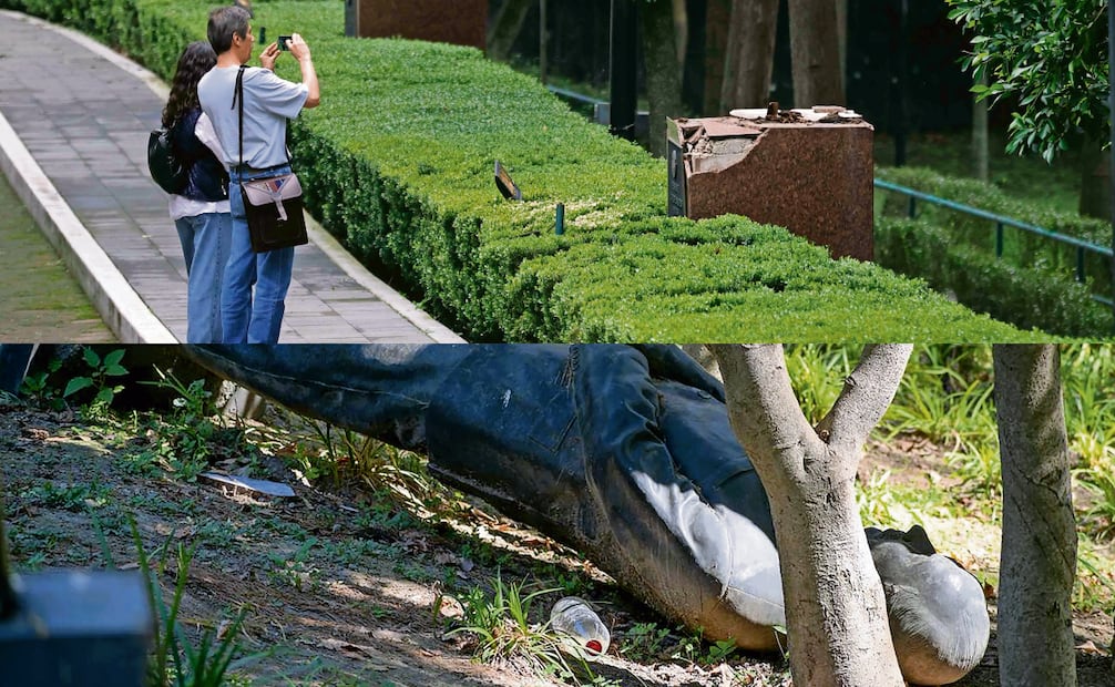 Arriba, el pedestal sin la escultura de Felipe Calderón (30 de julio pasado). Abajo, foto capturada ayer de la
pieza tirada en el jardín. Fotos: Archivo EL UNIVERSAL y Santiago Cadena / EL UNIVERSAL