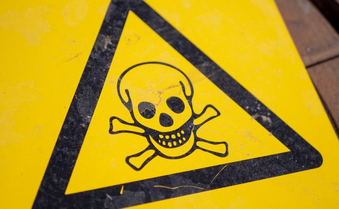 Imagen Ilustrativa: Unsplash