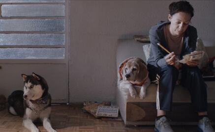 Cuando un hijo y un perro están desaparecidos, el drama que cuenta "El camino de sol"