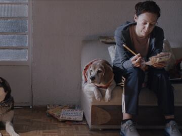 Cuando un hijo y un perro están desaparecidos, el drama que cuenta "El camino de sol"