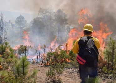 Se han registrado más de 100 incendios forestales en Chihuahua en lo que va del 2024