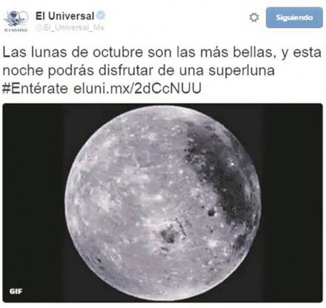 El Foco. #LenguasEnAgonía. La maldición de 'La Malinche'