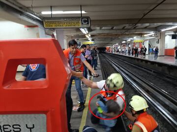 VIDEO: Gallina cae a las vías del Metro; suspenden servicio unos minutos en L9 para rescatarla