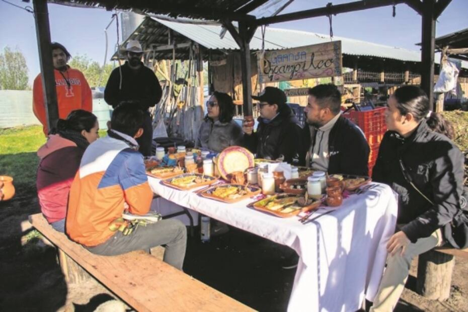 Fotos. Los amaneceres en Xochimilco, la nueva atracción turística del lugar