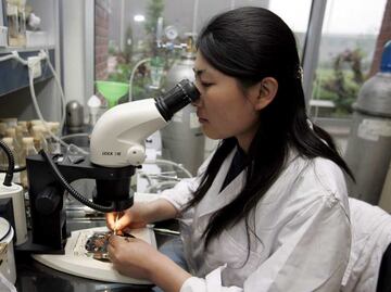 Científicos logran introducir activos de fármacos en las células