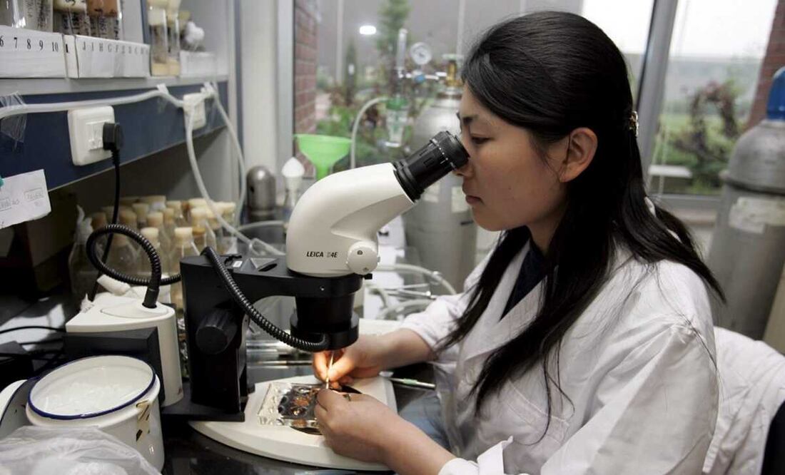 Imagen ilustrativa de científica. Foto: EFE/Michael Reynolds, archivo