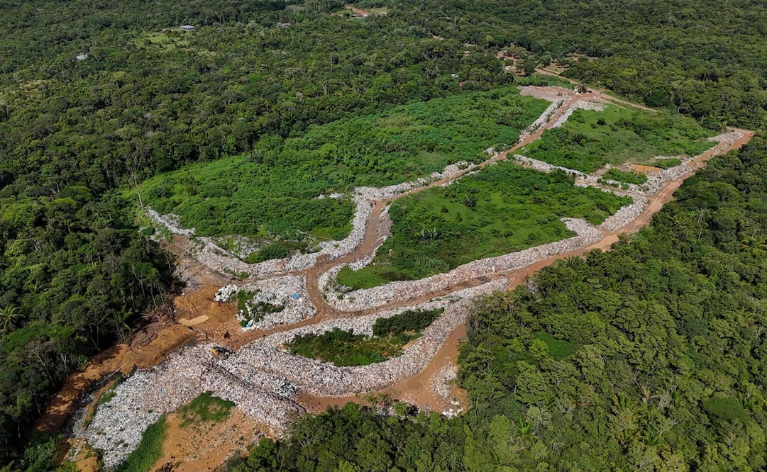 Vista aérea del Amazonas. Foto: AFP.