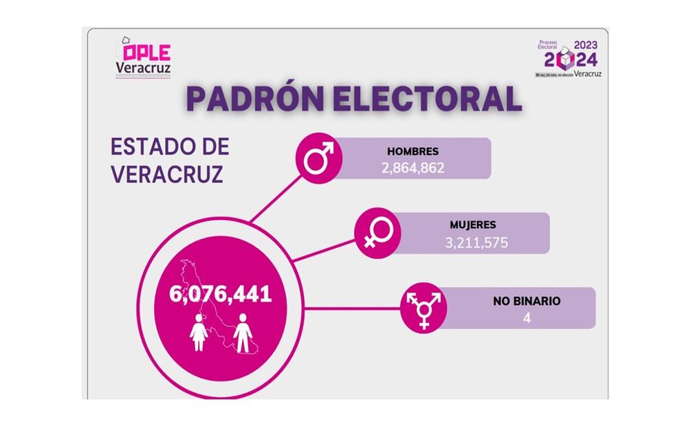 Veracruz: árbitro electoral llama a la madurez política. Foto: Especial