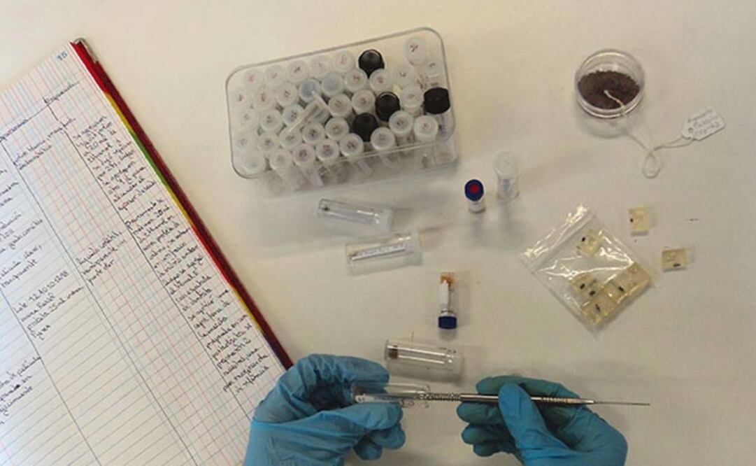 Esta banco favorece la investigación en conservación y restauración. (FOTO: INAH)