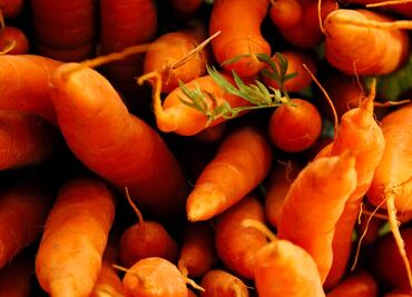 Estos son los 11 beneficios de la zanahoria que quizá no conocías