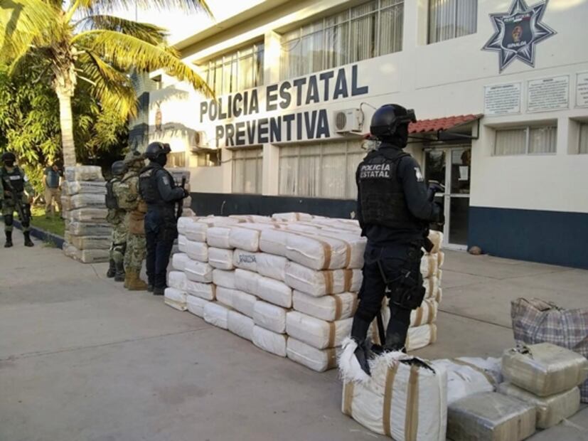 Aseguran casi una tonelada de marihuana semioculta entre maleza en Sinaloa