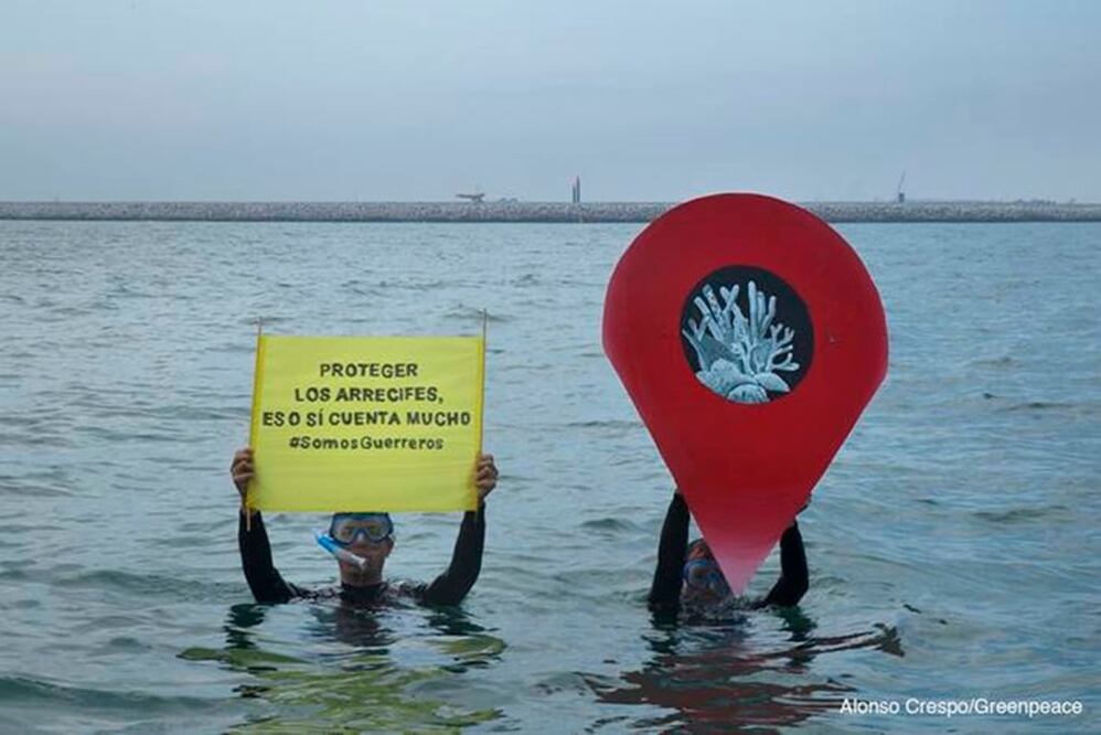 Foto tomada de Greenpeace.org