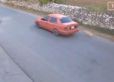 Activista denuncia falso rescate de perrito agredido en Hidalgo; asegura que no es el mismo que se muestra en videos