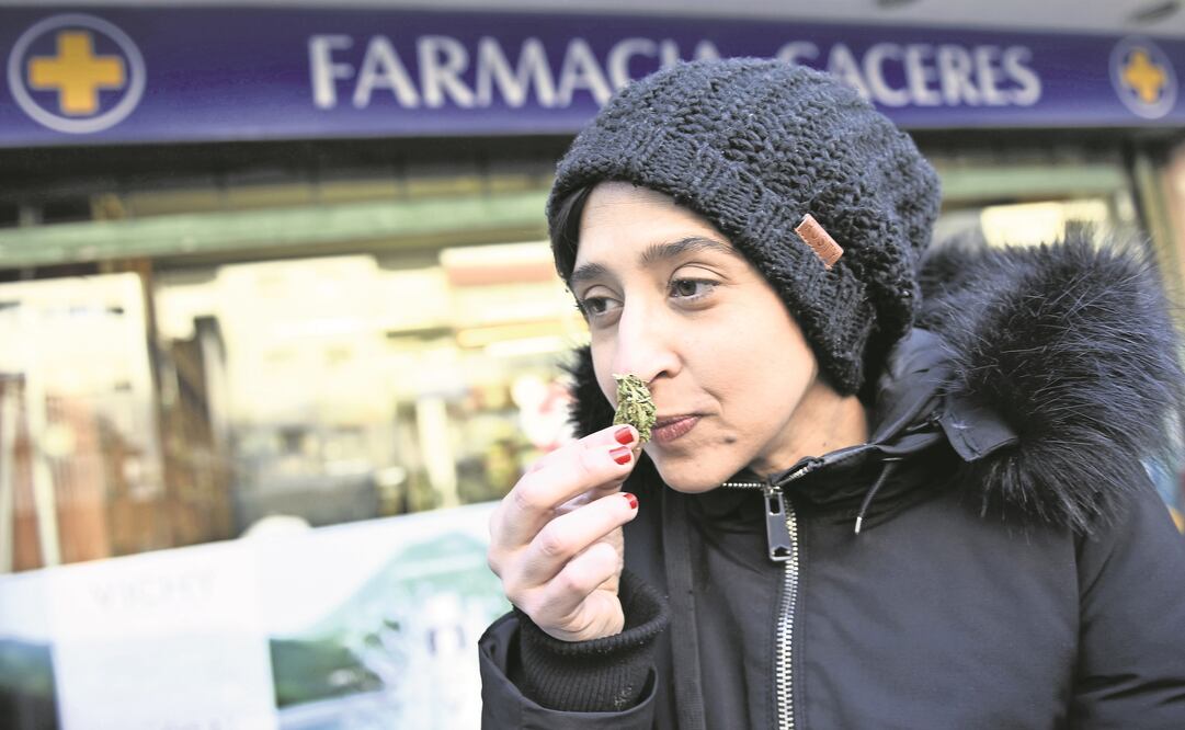 Una uruguaya huele una planta de marihuana que compró en una farmacia en el barrio Pocitos, en Montevideo, tras entrar en vigor la ley que regula la venta en estos lugares, el pasado miércoles. (NICOLÁS CELAYA. XINHUA)