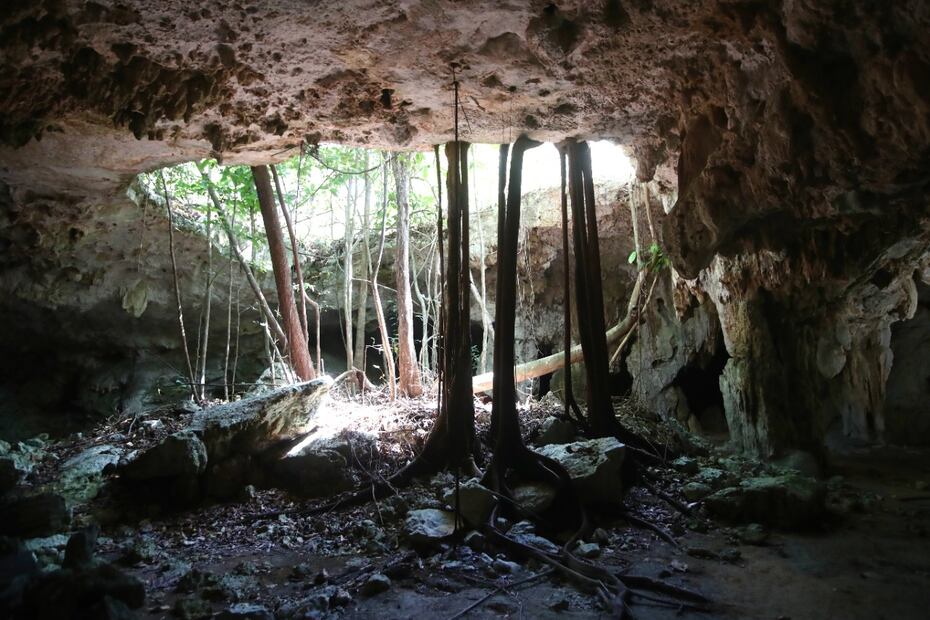 El Tramo 5 Sur del Tren Maya se construye en una zona de cenotes y cavernas, donde el suelo es frágil;