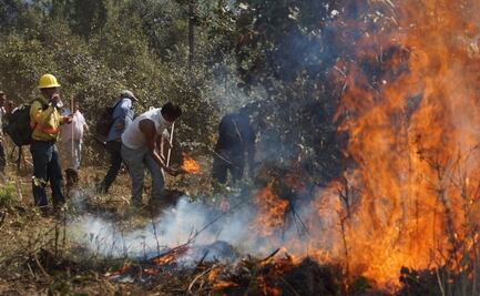 Incendio forestal en Oaxaca arrasa con 10 viviendas; hay 4 activos en el estado