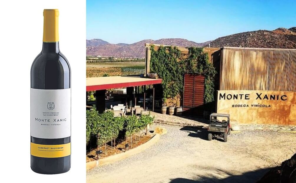 Aprender sobre vino mexicano, es ideal para cualquier sommelier. Foto: Especial