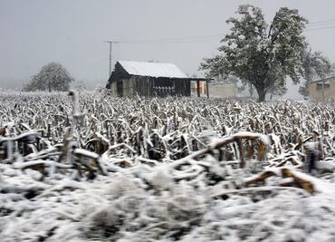 ¿Qué es un frente frío y cómo se forma?