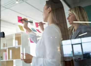 Harvard confirma la importancia de la adaptabilidad en el entorno laboral; conoce 3 razones importantes