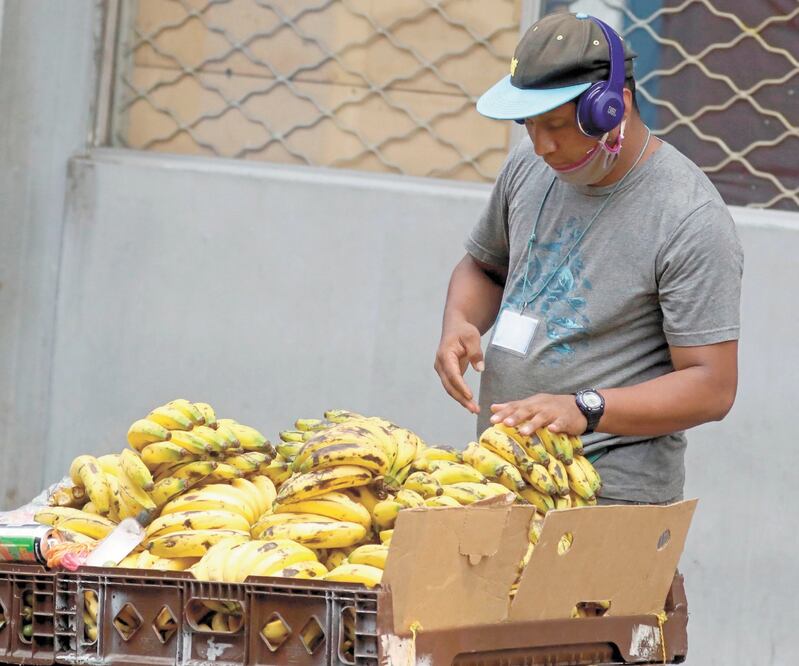 El coronavirus puede provocar un aumento de la informalidad en el país, señaló el especialista del Banco Interamericano de Desarrollo. Foto: EFE