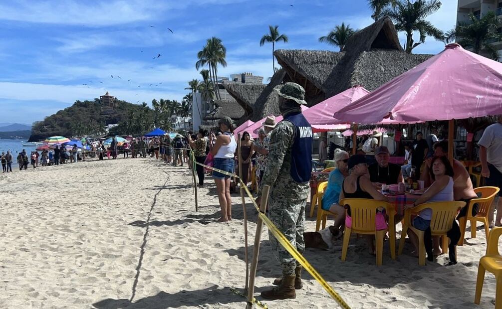 Brindan atención y protección a elefante marino que descansa en Playa "Los Ayala" en Compostela, Nayarit. Foto: Especial
