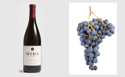 #COLUMNA Hablemos de grandes vinos