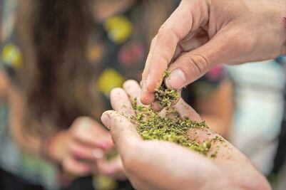 Governors differ on marijuana legalization