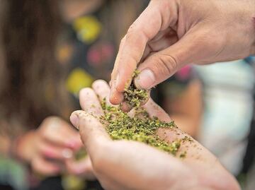 Governors differ on marijuana legalization