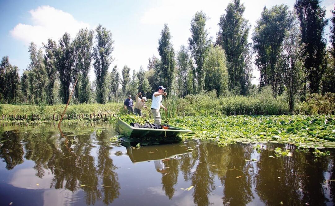 Mexican floating farm known as chinampa - Photo: Tanya Guerrero/EL UNIVERSAL