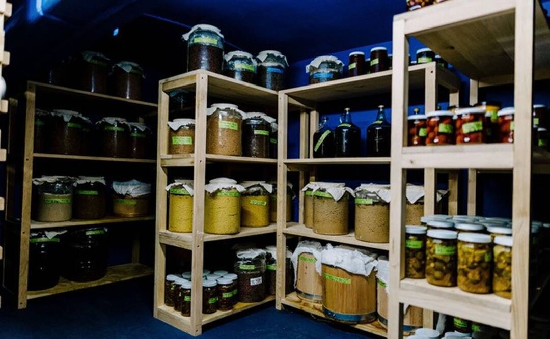 Fermentos. Foto: cortesía Labo Fermento