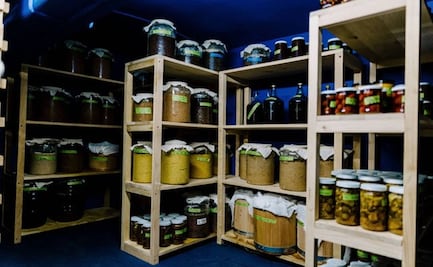 Fermentos: gastronomía basada en microbiología