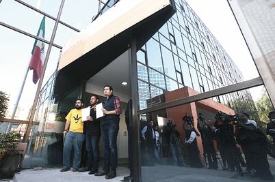 PRD va por liberalización de consumo de la yerba