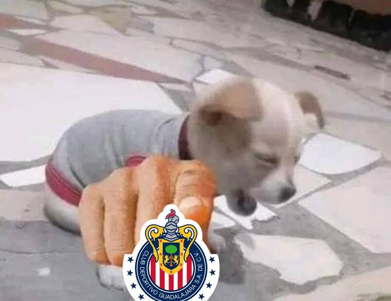 Las redes sociales se burlan de Chivas con MEMES