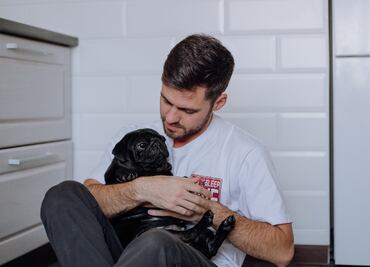 Empleados podrán llevar a sus mascotas a su trabajo; Colombia debate reforma laboral